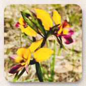 Dessous-de-verre Orchidées d'ânes (Devant)