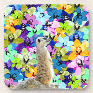 Dessous-de-verre Orchidées Meerkat Et Aquarelles,