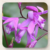 Dessous-de-verre Orchidées rose Hyacinth Floral (Devant)