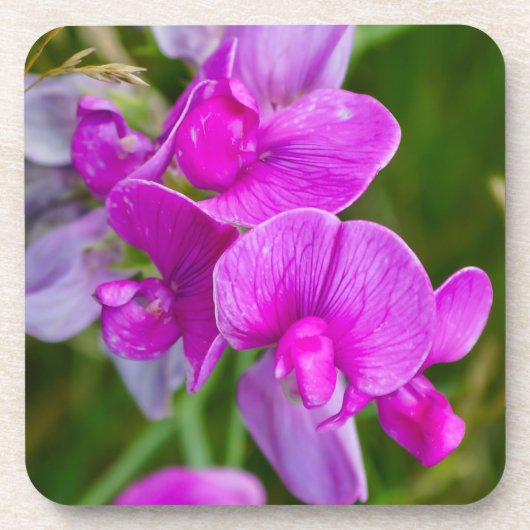 Dessous-de-verre Orchidées violettes (Devant)