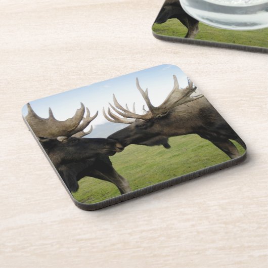 Dessous-de-verre Orignaux (Côté gauche)