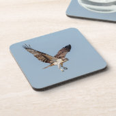 Dessous-de-verre Osprey juvénile en vol (Côté gauche)