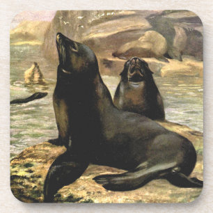 Dessous-de-verre Otaries de Californie par CE Swan, Animaux Vintage