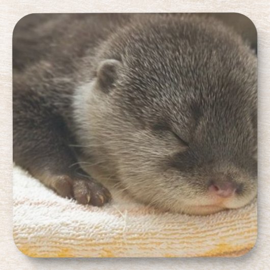 Dessous-de-verre Otter endormi (Devant)