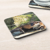 DESSOUS-DE-VERRE OTTERS (Côté gauche)