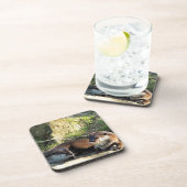 DESSOUS-DE-VERRE OTTERS (Côté Droit)