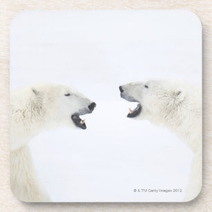 Dessous-de-verre Ours blancs se tenant sur la neige après le jeu