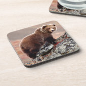 Dessous-de-verre Ours Brown de Denali (Côté gauche)
