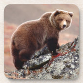 Dessous-de-verre Ours Brown de Denali (Devant)