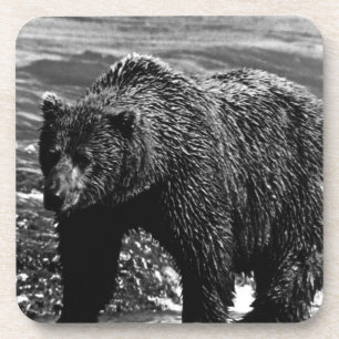 Dessous-de-verre Ours brun d'Alaska USA vintage