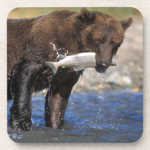 Dessous-de-verre Ours brun, grizzly, avec prise de saumon,