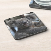 Dessous-de-verre Ours de Koala dans l'arbre (Côté gauche)