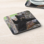 Dessous-de-verre Ours noir ourson paresseux (Côté gauche)