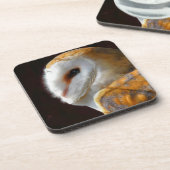 DESSOUS-DE-VERRE OWLS (Côté gauche)