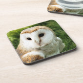 DESSOUS-DE-VERRE OWLS (Côté gauche)