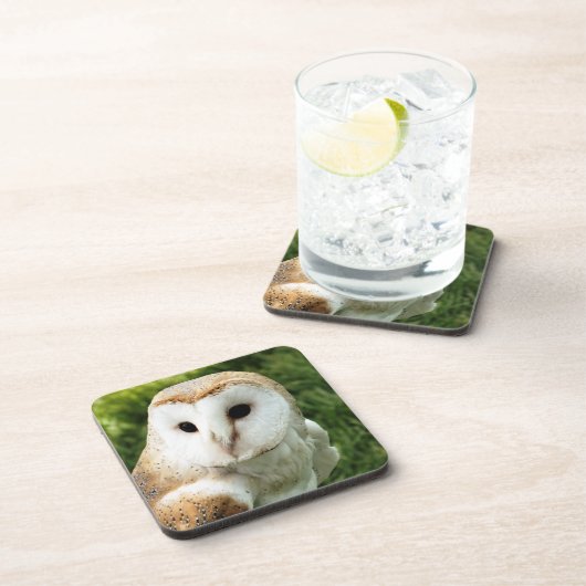 DESSOUS-DE-VERRE OWLS (Côté Droit)