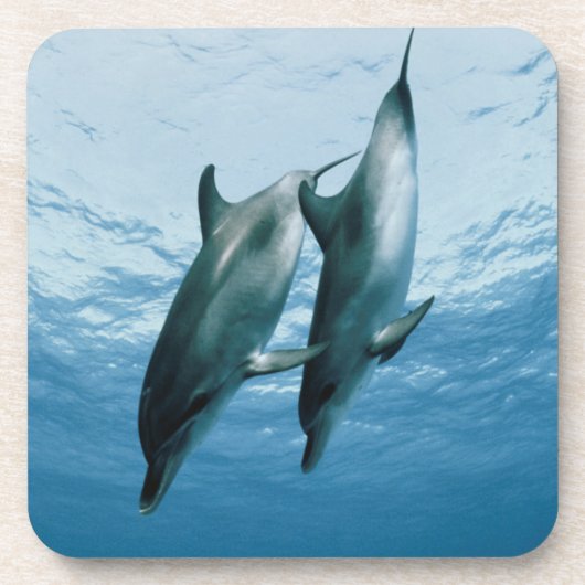 Dessous-de-verre Paire de dauphins (Devant)