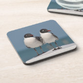Dessous-de-verre Paire de Mouettes à tête noire (Côté gauche)