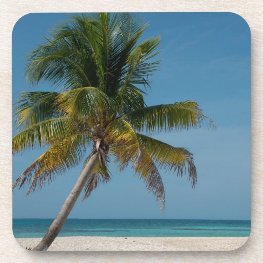 Dessous-de-verre Palmier et plage de sable blanc 2 (Devant)