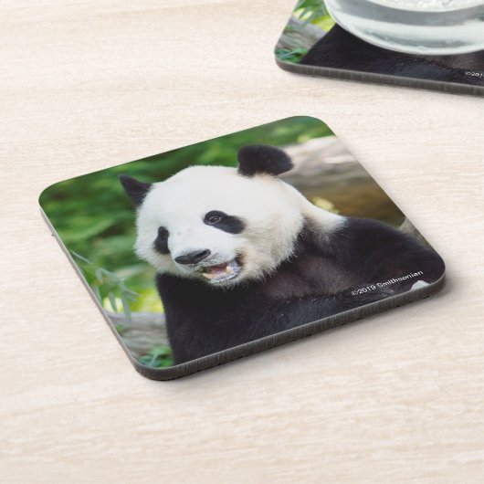 Dessous-de-verre Panda géant mangeant le bambou (Côté gauche)