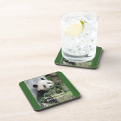 Dessous-de-verre Panda géant mignonne, Meilleur enseignant, Vert, E (Côté Droit)