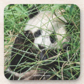 Dessous-de-verre Panda géant se cachant dans l'herbe (Devant)
