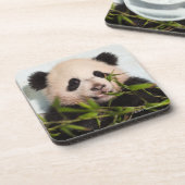 Dessous-de-verre Panda géant se penchant contre le mur (Côté gauche)