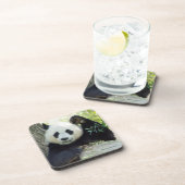 Dessous-de-verre Panda géant se reposant contre l'arbre (Côté Droit)