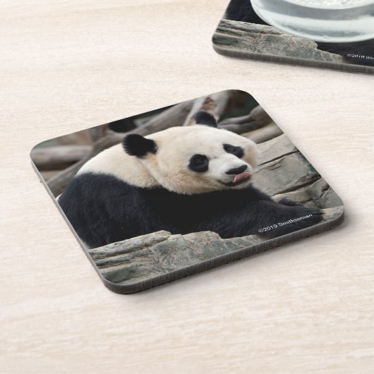 Dessous-de-verre Panda géant sur des roches (Côté gauche)