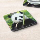 Dessous-de-verre Panda géant tenant le bambou (Côté gauche)