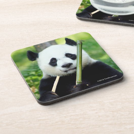 Dessous-de-verre Panda géant tenant le bambou (Côté gauche)