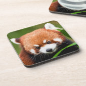 Dessous-de-verre Panda roux mignon (Côté gauche)