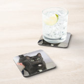 Dessous-de-verre Panier de souris de chat (Côté Droit)