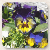 DESSOUS-DE-VERRE PANSIES ! (Devant)
