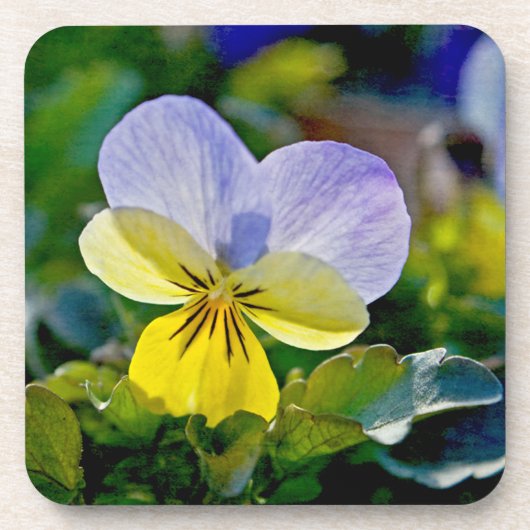 Dessous-de-verre Pansy Perfection (Devant)