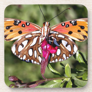Dessous-de-verre Papillon à queue fantaisiste tacheté magnifique ép