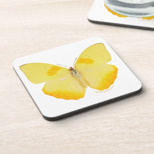 Dessous-de-verre Papillon commun de jaune d'herbe (Côté gauche)