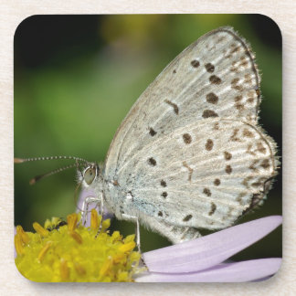 Dessous-de-verre Papillon couleur crème tacheté