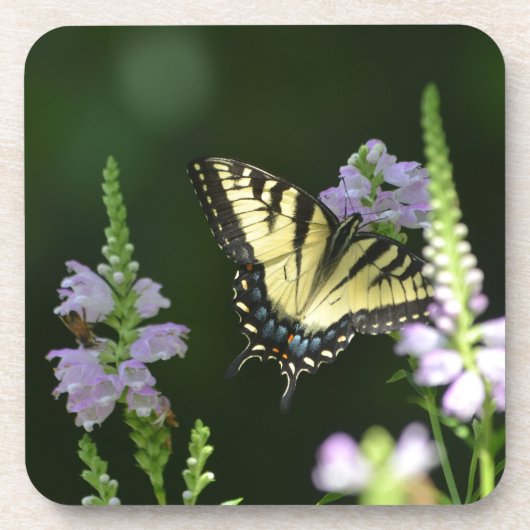 Dessous-de-verre Papillon Dans Le Jardin (Devant)