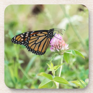 Dessous-de-verre Papillon de monarque