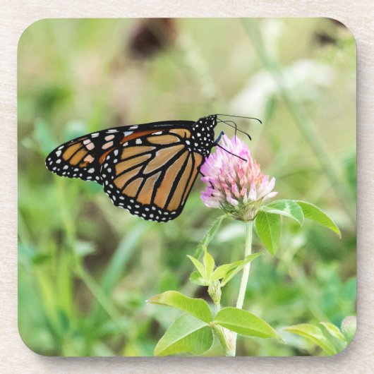 Dessous-de-verre Papillon de monarque (Devant)