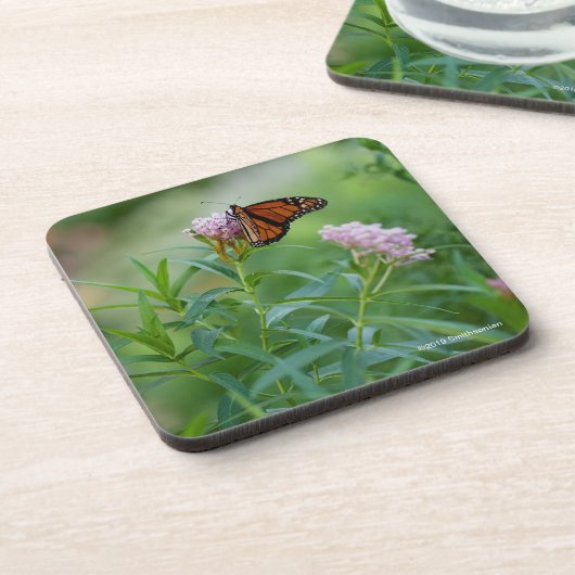 Dessous-de-verre Papillon de monarque (Côté gauche)