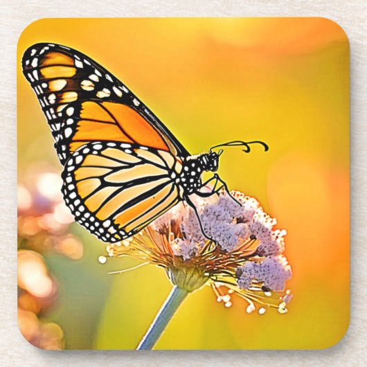 Dessous-de-verre Papillon Majestic Gros plan (Devant)