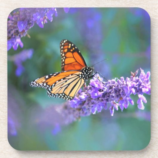 Dessous-de-verre Papillon Monarque sur Fleur violette lilas (Devant)
