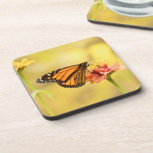 Dessous-de-verre Papillon Monarque sur Zinnia