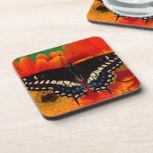 Dessous-de-verre Papillon noir Swallowtail sur Gerberia Daisy (Côté gauche)