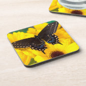 Dessous-de-verre Papillon Papilio polyxenes (Côté gauche)