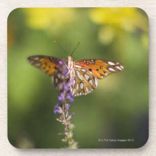 Dessous-de-verre Papillon sur des fleurs sauvages
