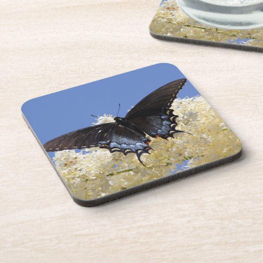 Dessous-de-verre Papillon Sur Fleurs Blanches (Côté gauche)