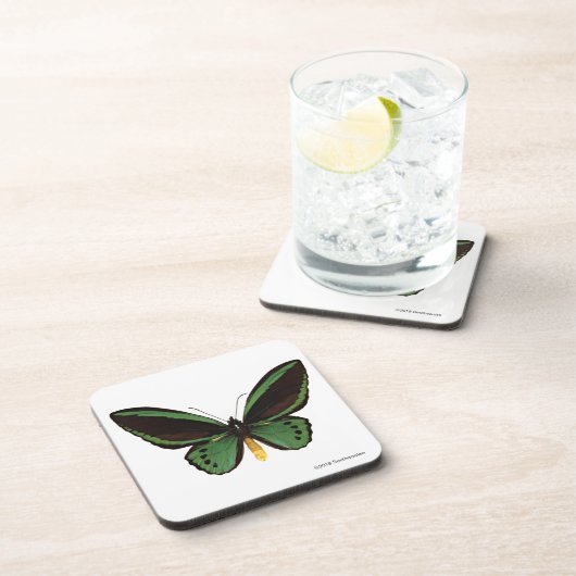 Dessous-de-verre Papillon vert de Birdwing (Côté Droit)